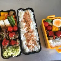 Snapdishの料理写真:16/06/10 彼弁当と自分弁当|あゆさん