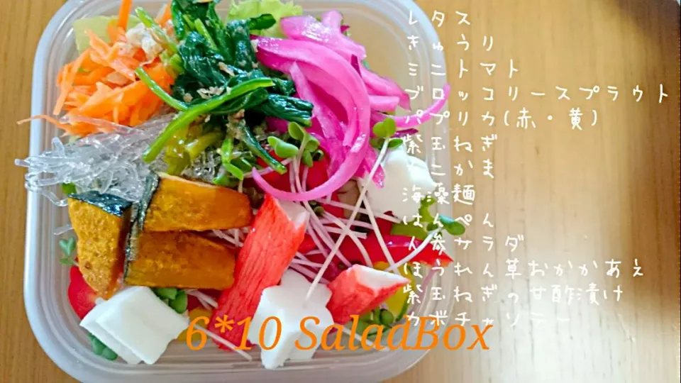 6*10  Salad Box|hilocoさん