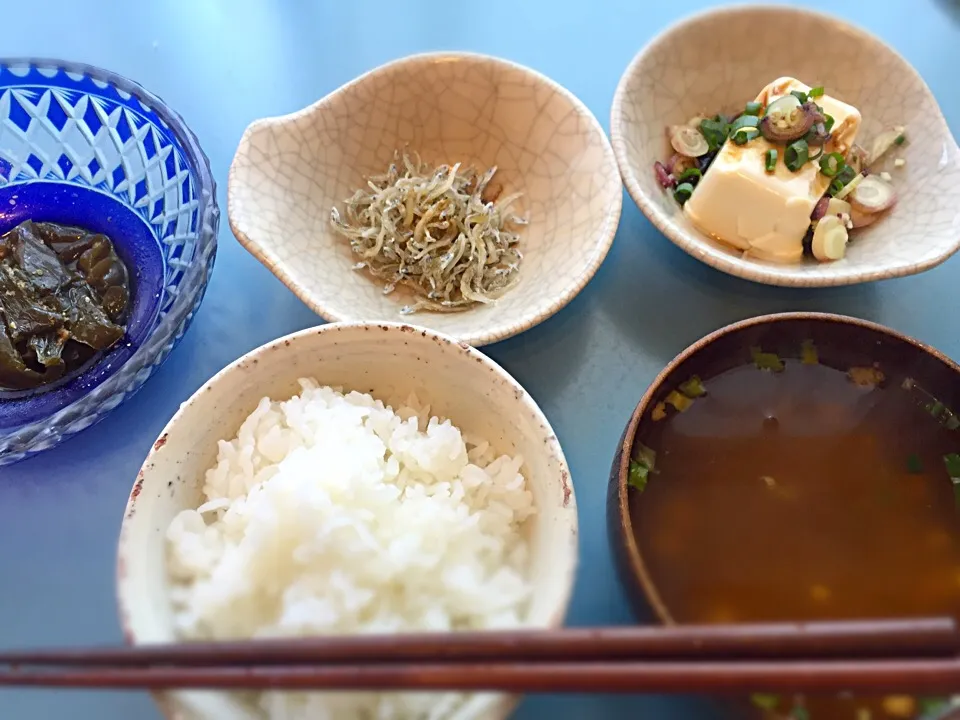 おひるごはん
ピーマンの煮浸し
ちりめんじゃこ
冷奴
春雨スープ
ごはん|空飛ぶペンギンさん