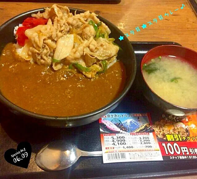 Snapdishの料理写真:★☆おでかけディナー☆★すた丼カレー♪|さとみさん