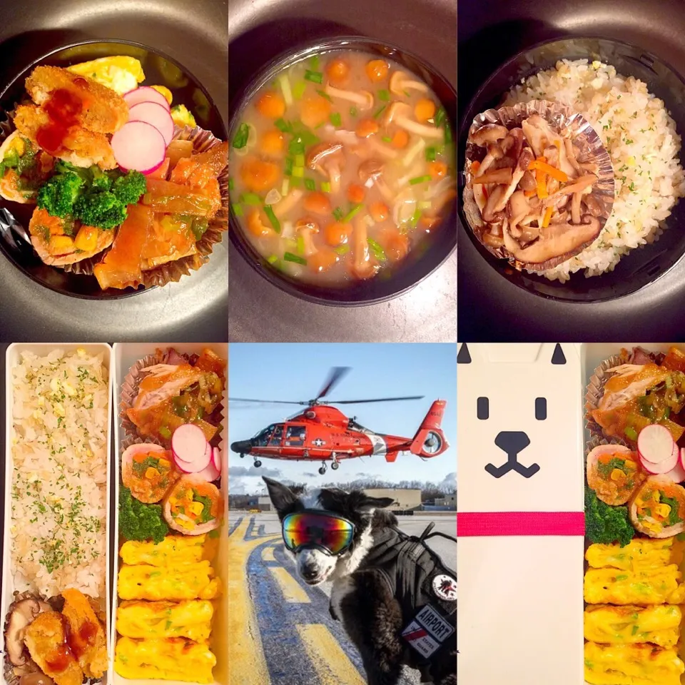 Snapdishの料理写真:我が家のお弁当◡̈⃝♡|Mikako Iidaさん