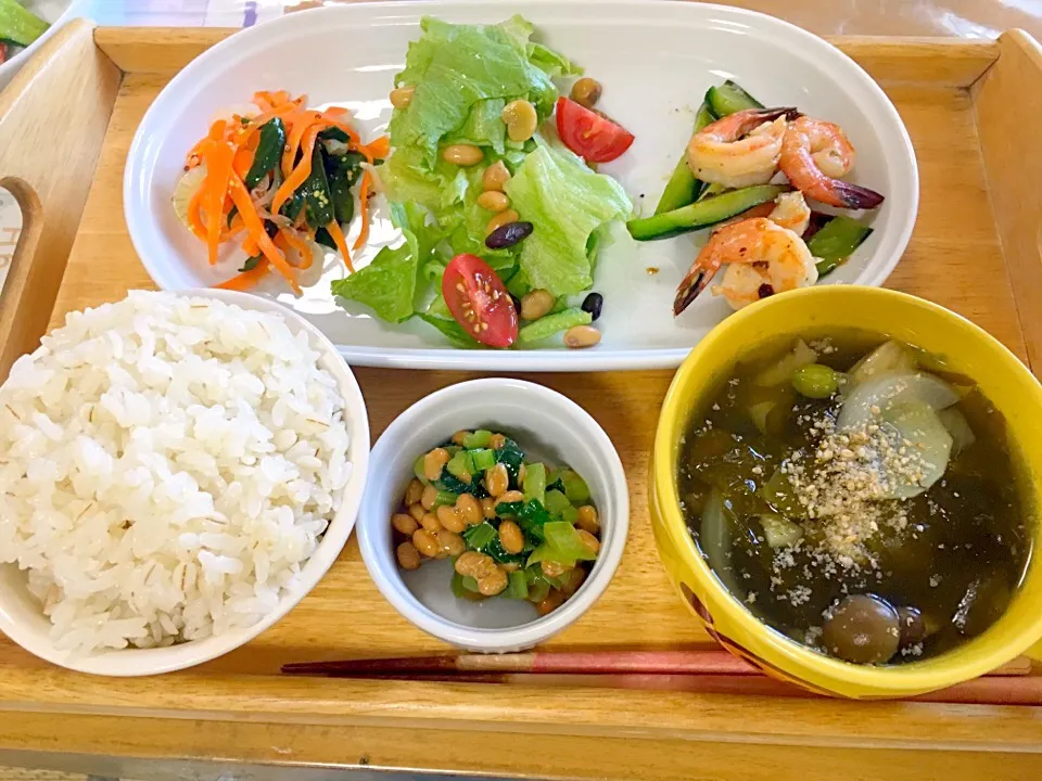 晩ご飯🌛海老と胡瓜の塩炒め|かわちさん