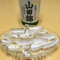 シロギス焼霜造り|お料理パパさん