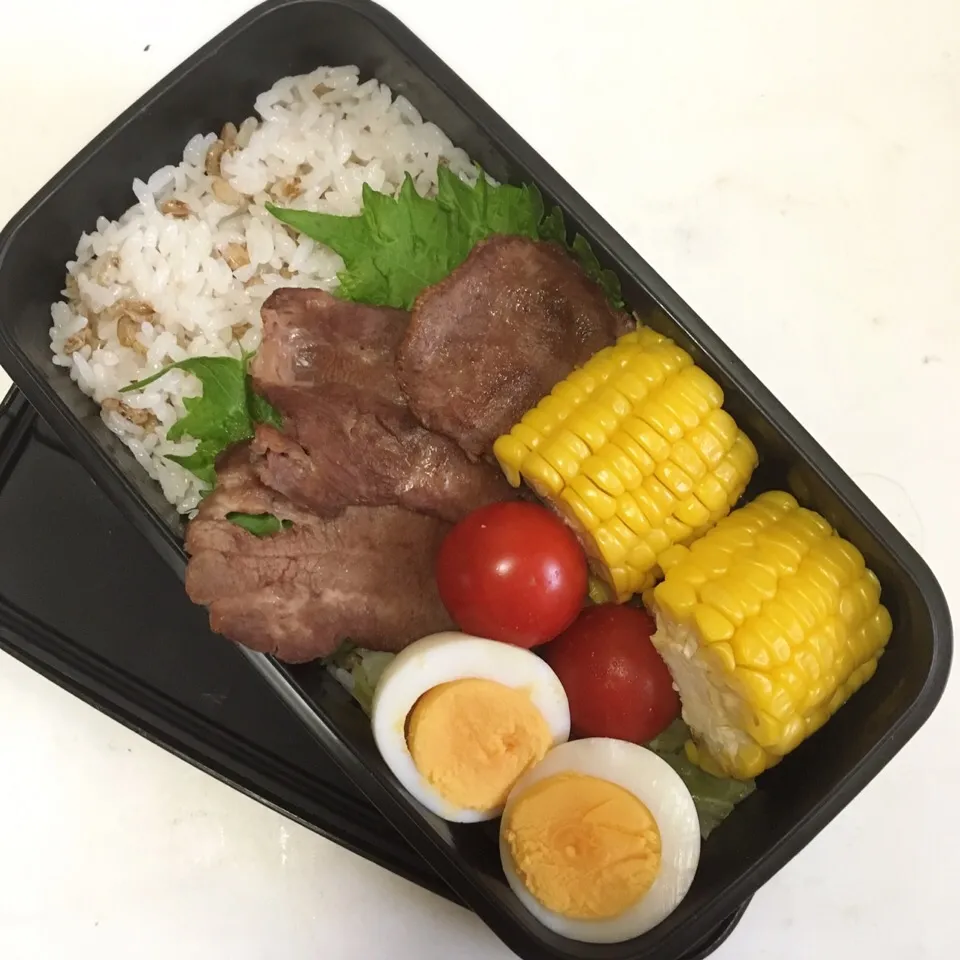 自分弁当|美也子さん