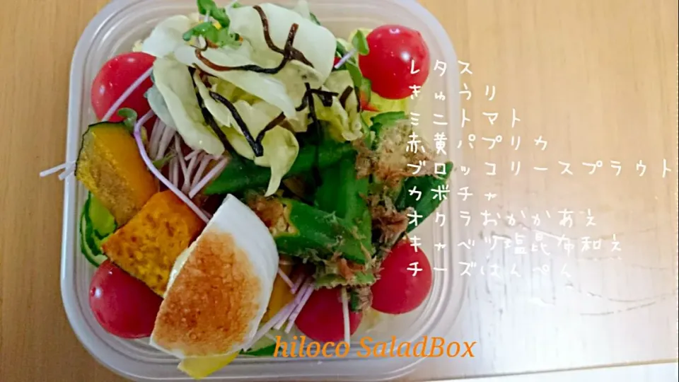 6*13  SaladBox|hilocoさん