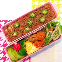 JK 娘のお弁当