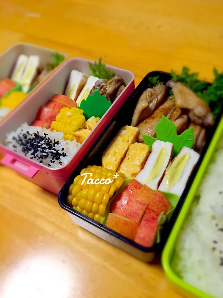 Today's Lunch☆6/13|tacco*さん