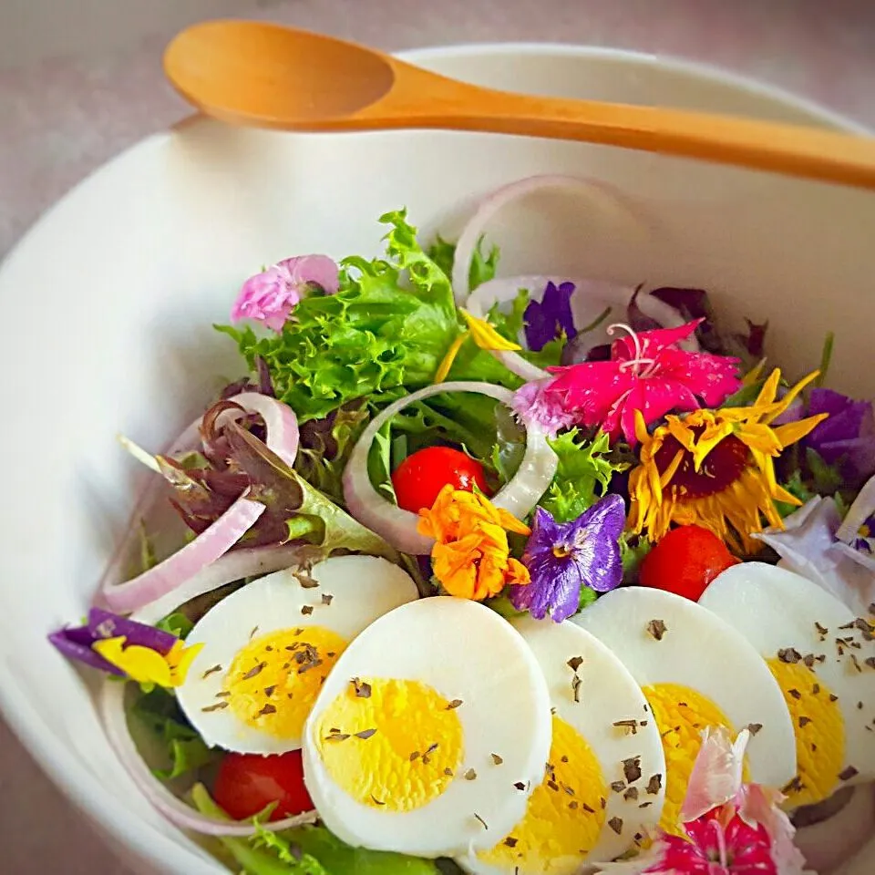 edible flower salad for lunch today|Chua Jeanさん