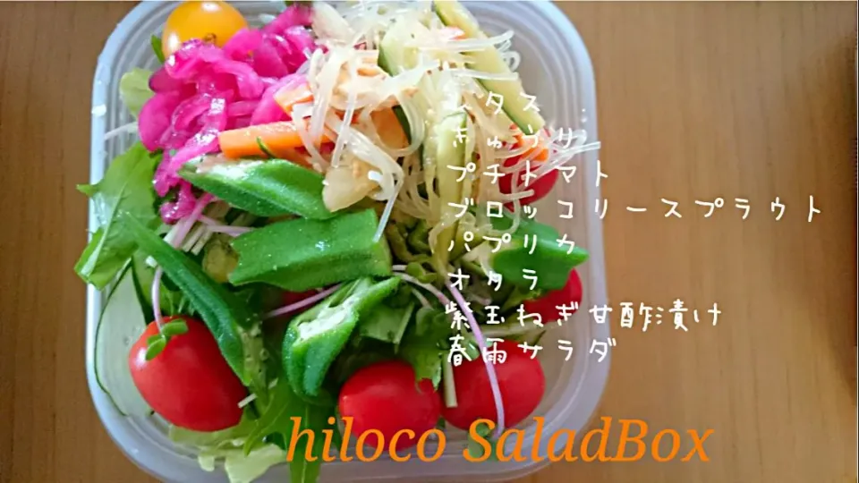 6*14  SaladBox|hilocoさん