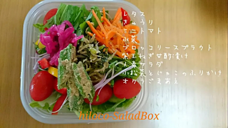 16*6*15SaladBox|hilocoさん