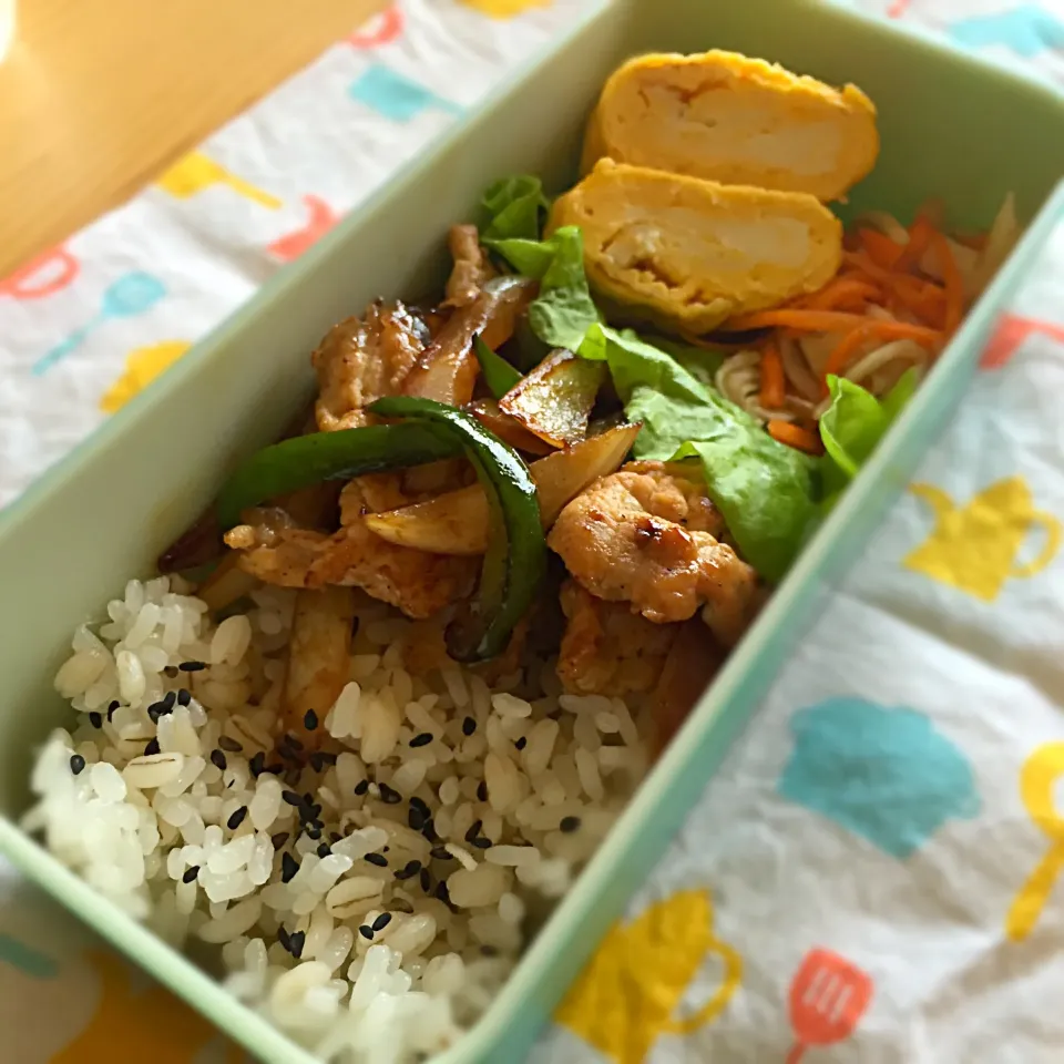 お弁当◎ もち麦ご飯炊いてみました〜🍚✨|しょちちさん