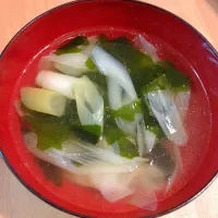 Snapdishの料理写真:ワカメとネギの中華スープ|ビッグバンさん