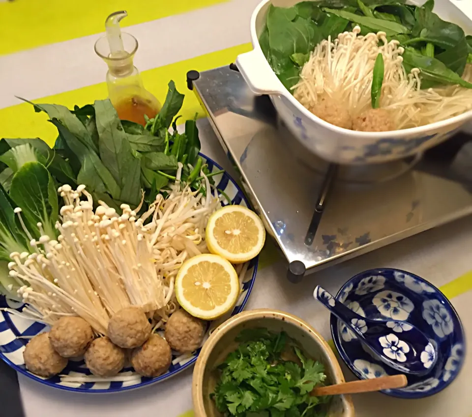 🇻🇳ベトナムなのか、🇹🇭タイなのかよく判らない南国風鍋で初夏の暑さを耐えるテスト👻〆のフォーの選択インスタントフォーにして大失敗😭|にゃあ（芸名）さん