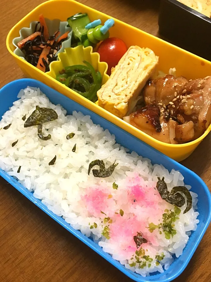 雨のお散歩弁当|ARIGOさん