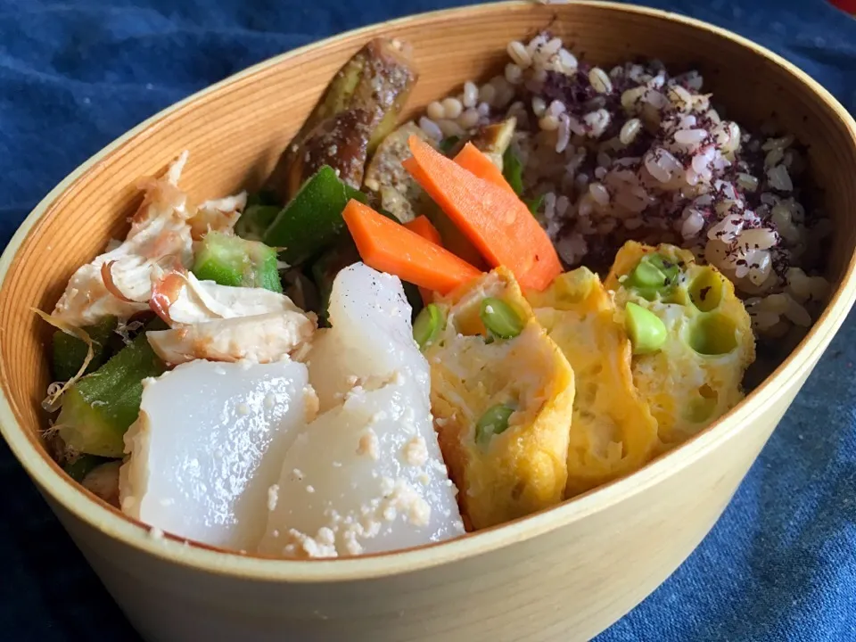 Snapdishの料理写真:夏野菜弁当|Naoko Miyataさん