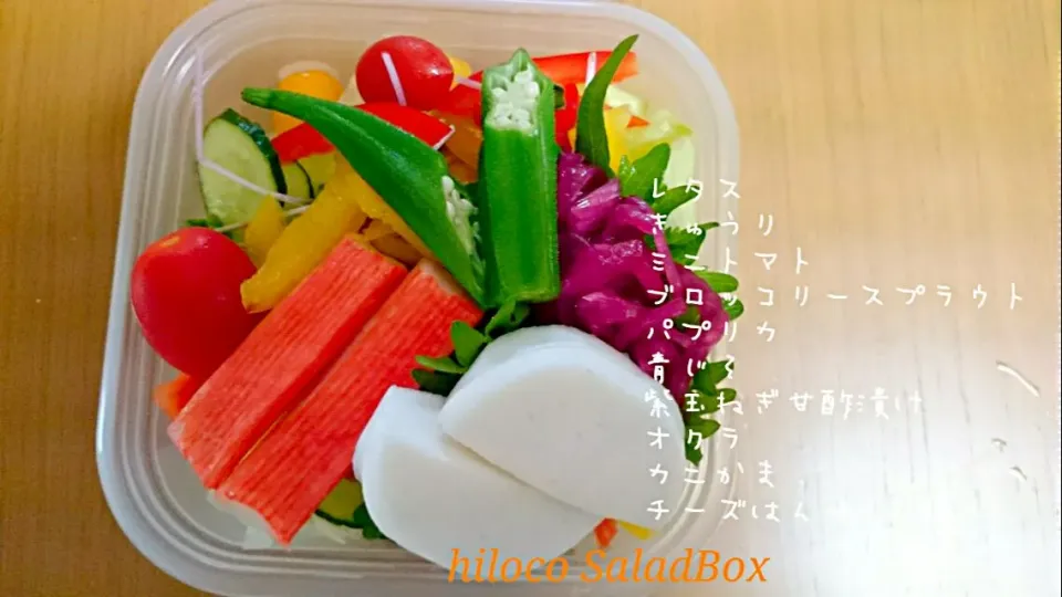 6*16 SaladBox|hilocoさん