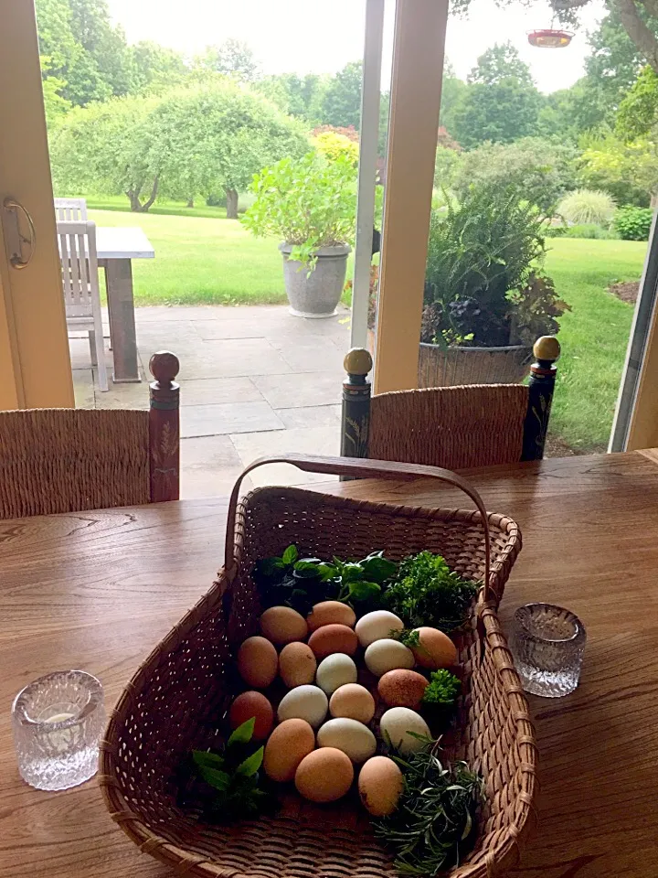 Freshly picked farm fresh eggs 🐓and herbs🌿|🌺IAnneさん