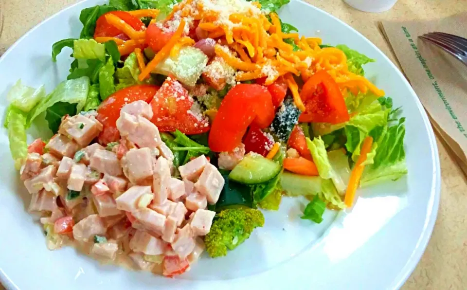 Turkey and Fresh Garden Salad with Parmesan and Chedder Cheese dressed with Sherry Vinegar Vinaigrette|Juan Simmsさん