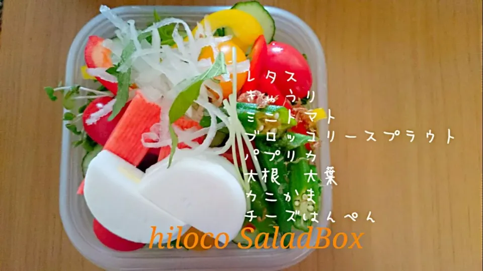 6*17  SaladBox|hilocoさん