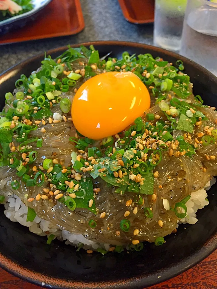 明石の生しらす丼（400投稿目）|まるいのさん