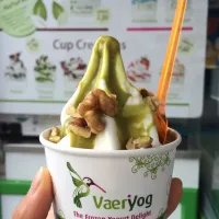 Snapdishの料理写真:pistachio and walnut flavored frozen yogurt ☀️ yummy!|CatzeMDさん