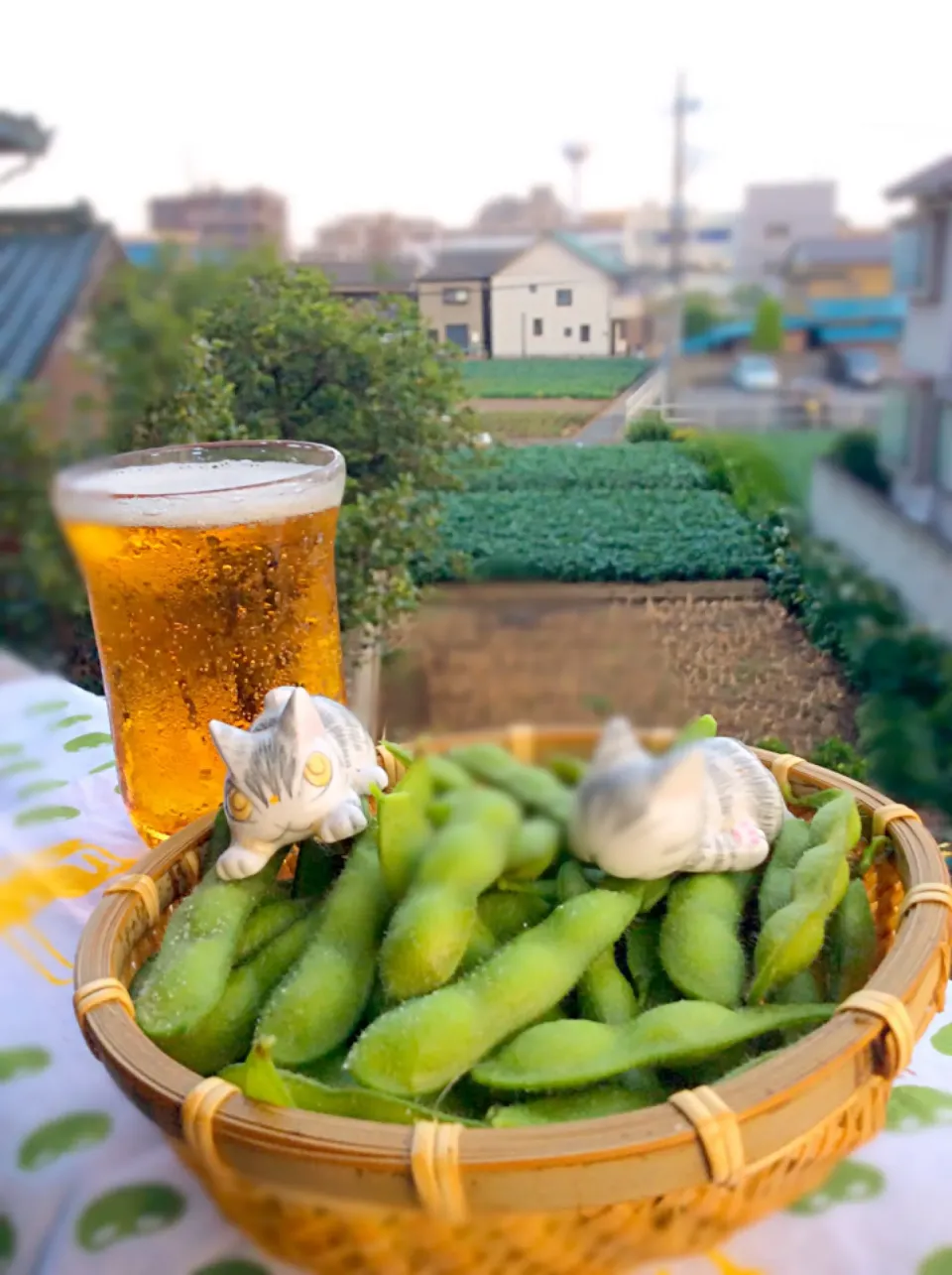 増田さんの枝豆 収穫祭 今年も豊作だ！ 早稲は、福だるまという品種です。採ってから茹でるまで１０分。最高の贅沢です。|Takeshi  Nagakiさん