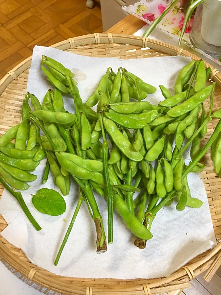 初物の枝豆を茹でます(*^_^*)|simoneさん