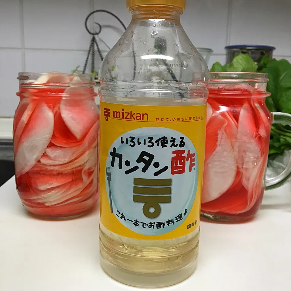 かぶの酢漬け
大きなかぶが、売っていたので
京都の千枚漬けを、イメージして
漬けました‼︎
赤い色は、先日漬けた
ラディッシュの漬け汁の色です。
ラディッシュは完食✨
新しい漬け汁に、足してみました‼︎
食べるのが、楽しみです😋|ゆかモンさん