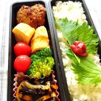 Snapdishの料理写真:男子高校生弁当|nicoさん