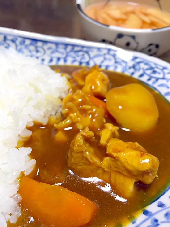 Snapdishの料理写真:japanese curryrice|JUNKOさん