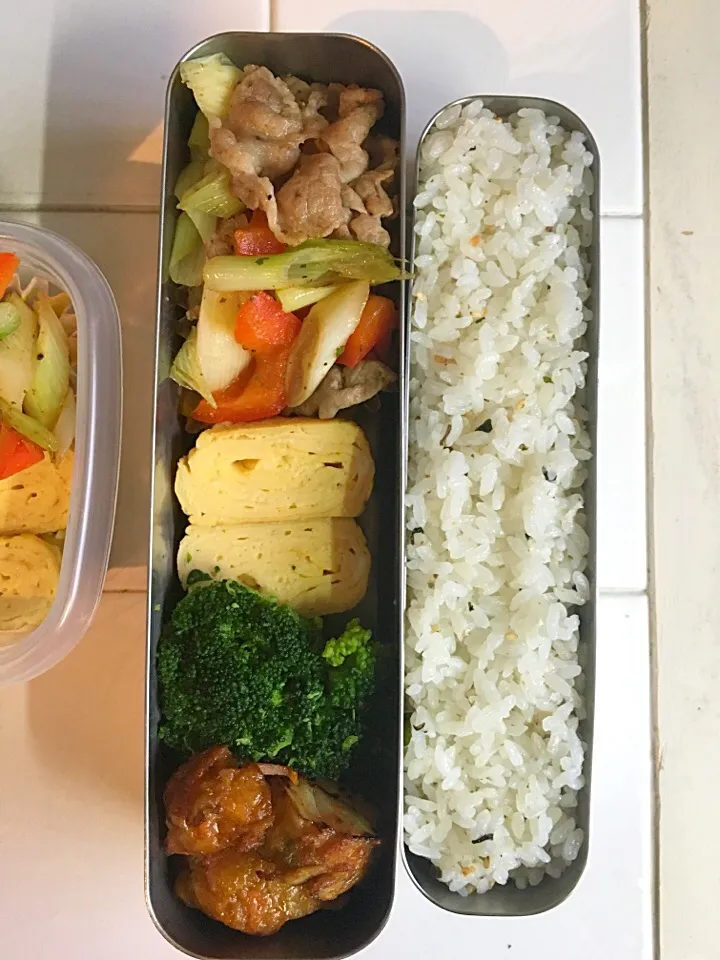 Snapdishの料理写真:豚肉とネギの塩コショウ炒め弁当|エミリーさん