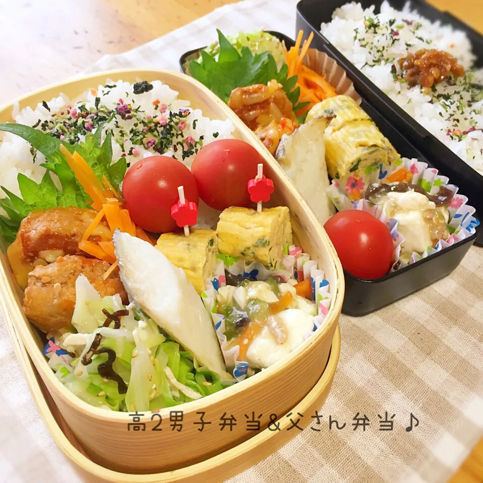 高2長男&父さん弁当♪  山本真希さんの料理 奥薗壽子さんレシピのもちもちミートボール入り和歌山名物弁当なんだな…🐼をお弁当に♡|のりころさん