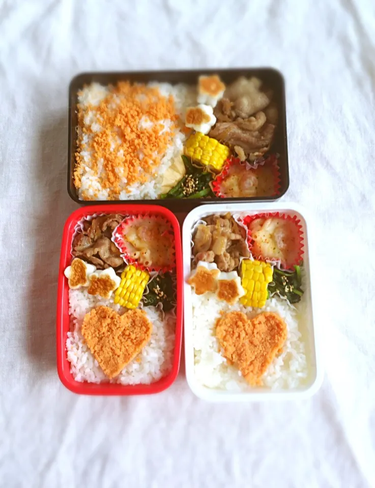 ✳︎今日のお弁当✳︎|K&S...akkoさん