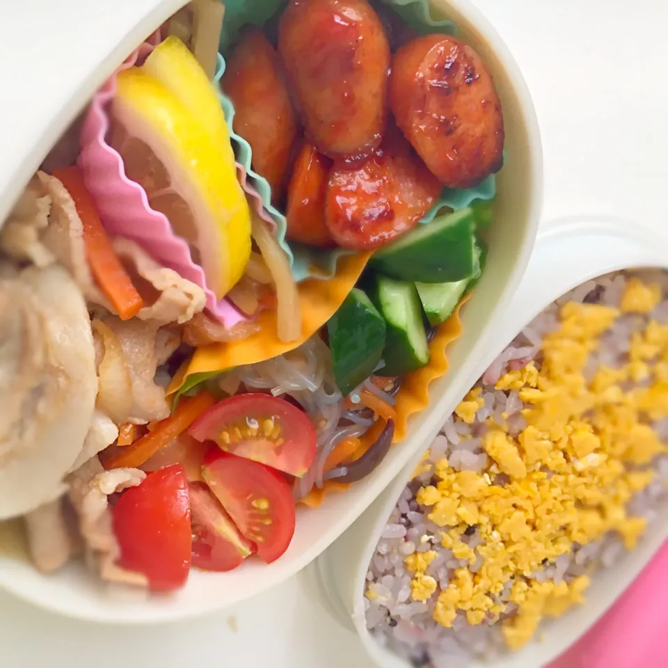 20160620 本日のお弁当♪
生姜焼き、ウィンナー炒め、春雨サラダ、きんぴらごぼう、炒り卵|水野愛日(ミズノマナビ)さん