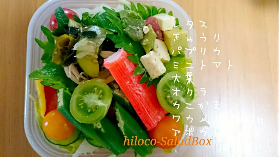 6*20  SaladBox|hilocoさん