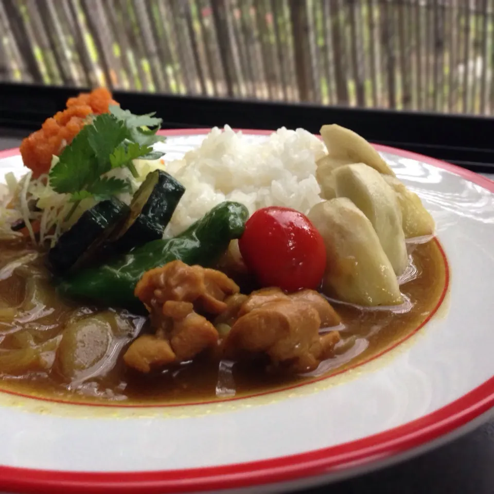 野菜たっぷりチキンカレー|koji toyodaさん