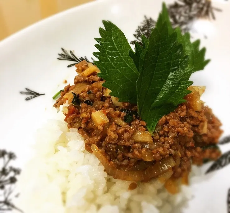 Snapdishの料理写真:あっついよー🌞こんな日は、さっぱり大葉とトマトの挽肉煮丼です💚|jackie_brownさん