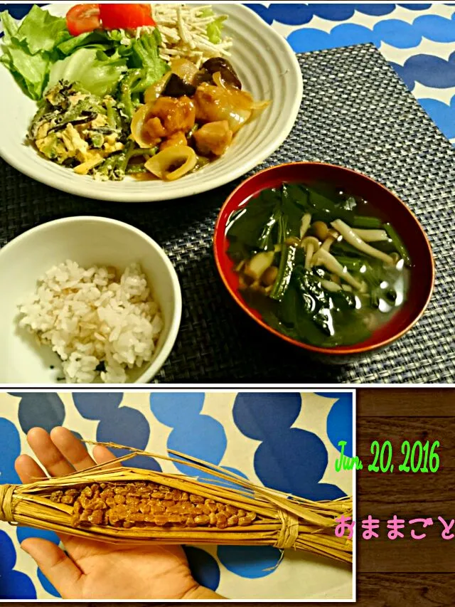 鶏モモ肉の酢あんかけ*ゴーヤのこうやチャンプルーetc.お野菜たっぷりディナー #酢 #ゴーヤ|kanao3さん