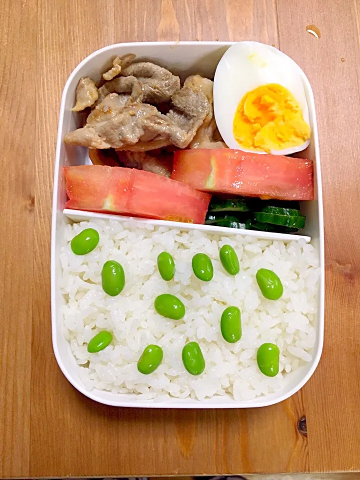 Snapdishの料理写真:2016/06/21旦那さんのお弁当|Shirokoさん