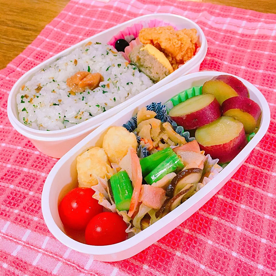 色々お弁当|wanaminさん