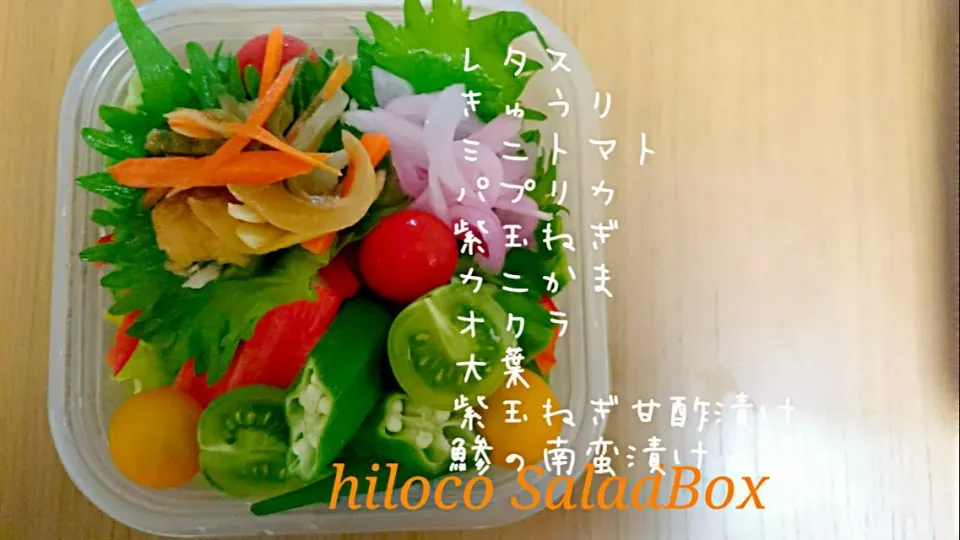 Snapdishの料理写真:6*21  SaladBox|hilocoさん