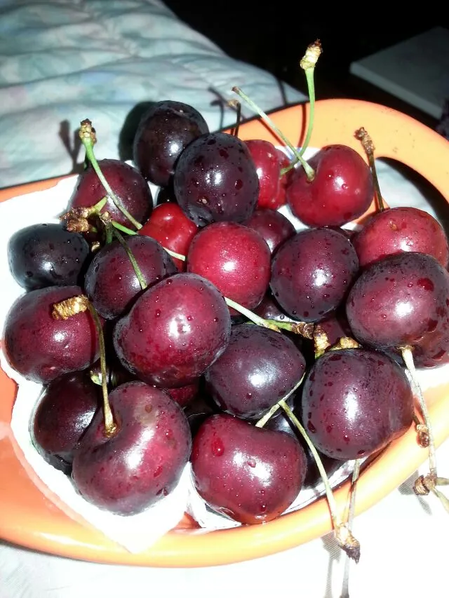 a nice healthy snack. cherries!!!🍒🍒🍒|Polly Gelfusoさん