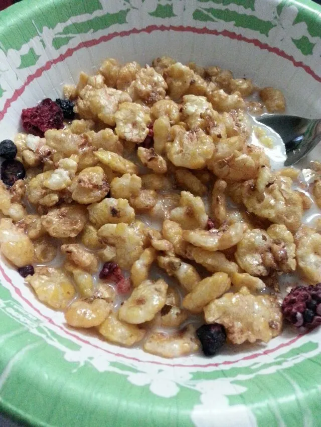 my new favorite cereal kashi indigo morning.|Polly Gelfusoさん