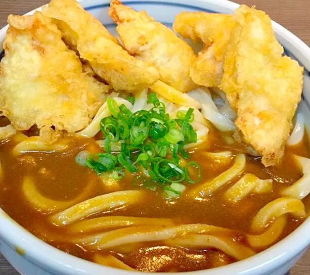 Snapdishの料理写真:とり天カレーうどん|Food is lifeさん