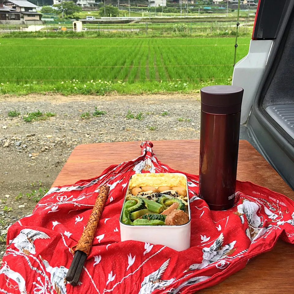 ピクニック・ランチ♬ (▰˘◡˘▰)☝︎|Yoshinobu Nakagawaさん