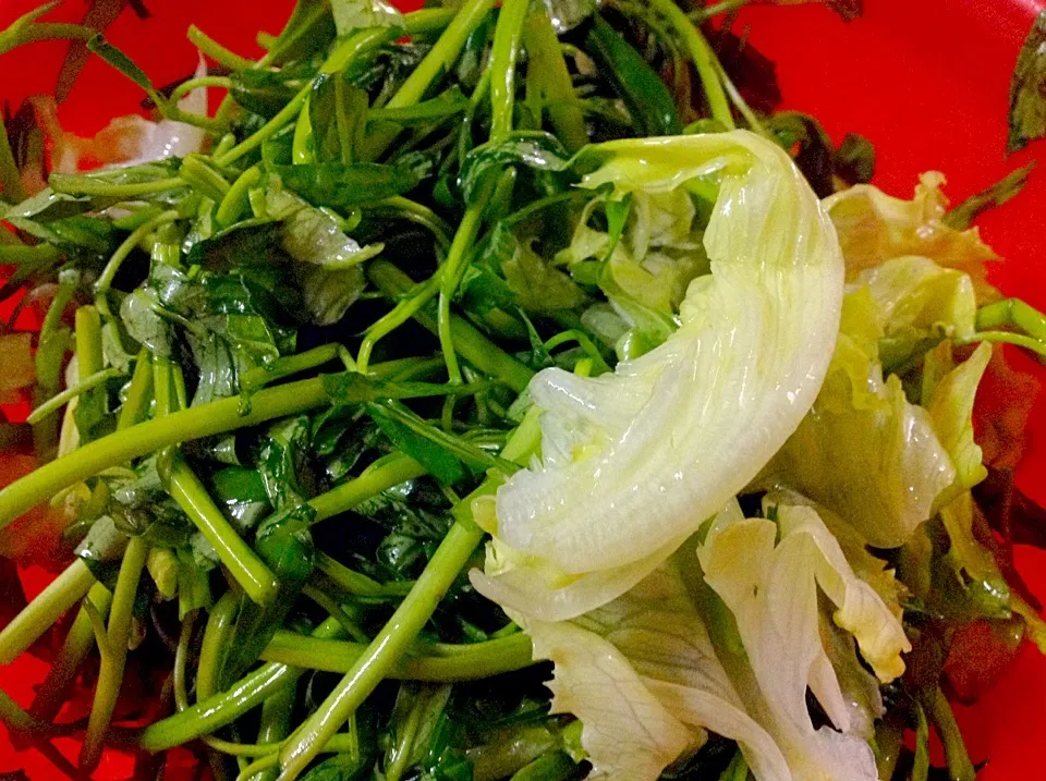 Snapdishの料理写真:SALAD RAU TRỘN DẦU GIẤM|Tan Phatさん