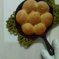 ニトスキでプルーンパン