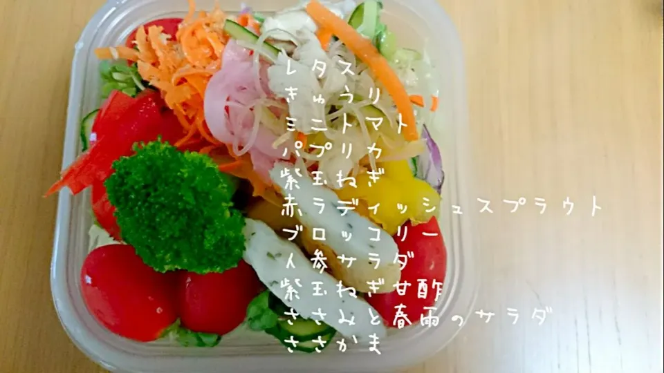 SaladBox|hilocoさん