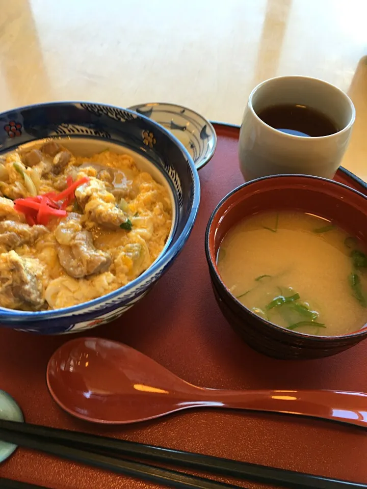 親子丼|🐶たぬとんキッチンさん