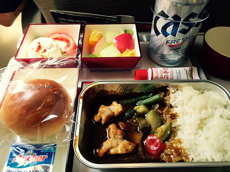 韓国行商の旅 1日目🇰🇷  ASIANA OZ101 economy 機内食はカレーでした🍛|BUBUさん